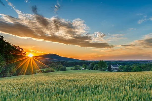 18 Nature Photos That Inspire Solitude, solitude in nature, quiet moments, nature, forest, landscape, peaceful alone time, nature escape