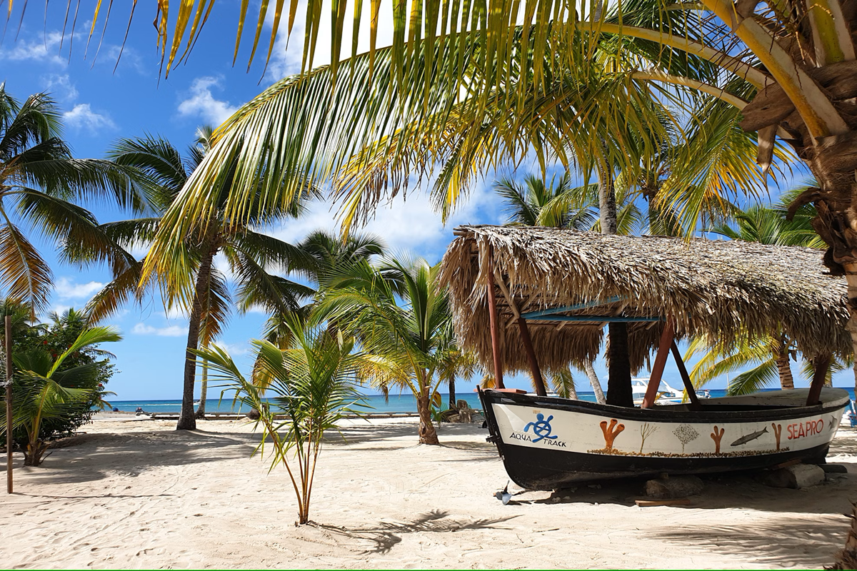 Saona Island
sunscape coco punta cana