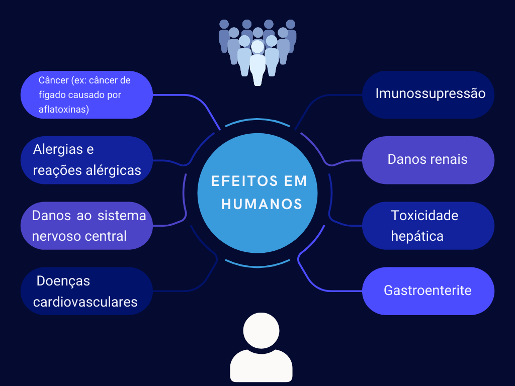 Efeito das Micotoxinas em Humanos