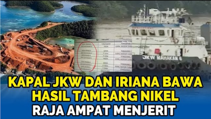 Iriana Jokowi Disorot Karena Kepemilikan Kapal dan Saham Tambang Nikel Raja Ampat