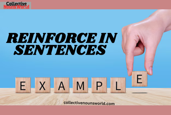 Verb forms of reinforce