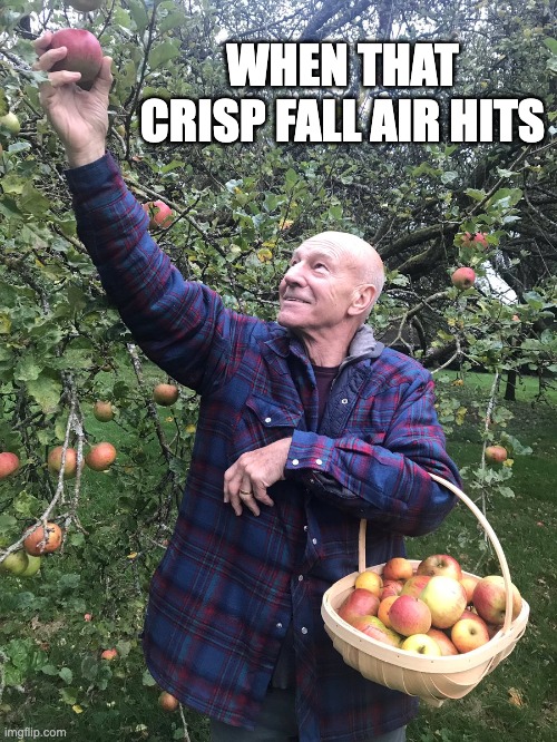 when that crisp fall air hits