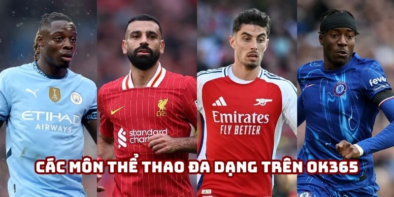 Các môn thể thao đa dạng trên Ok365, từ bóng đá đến esports