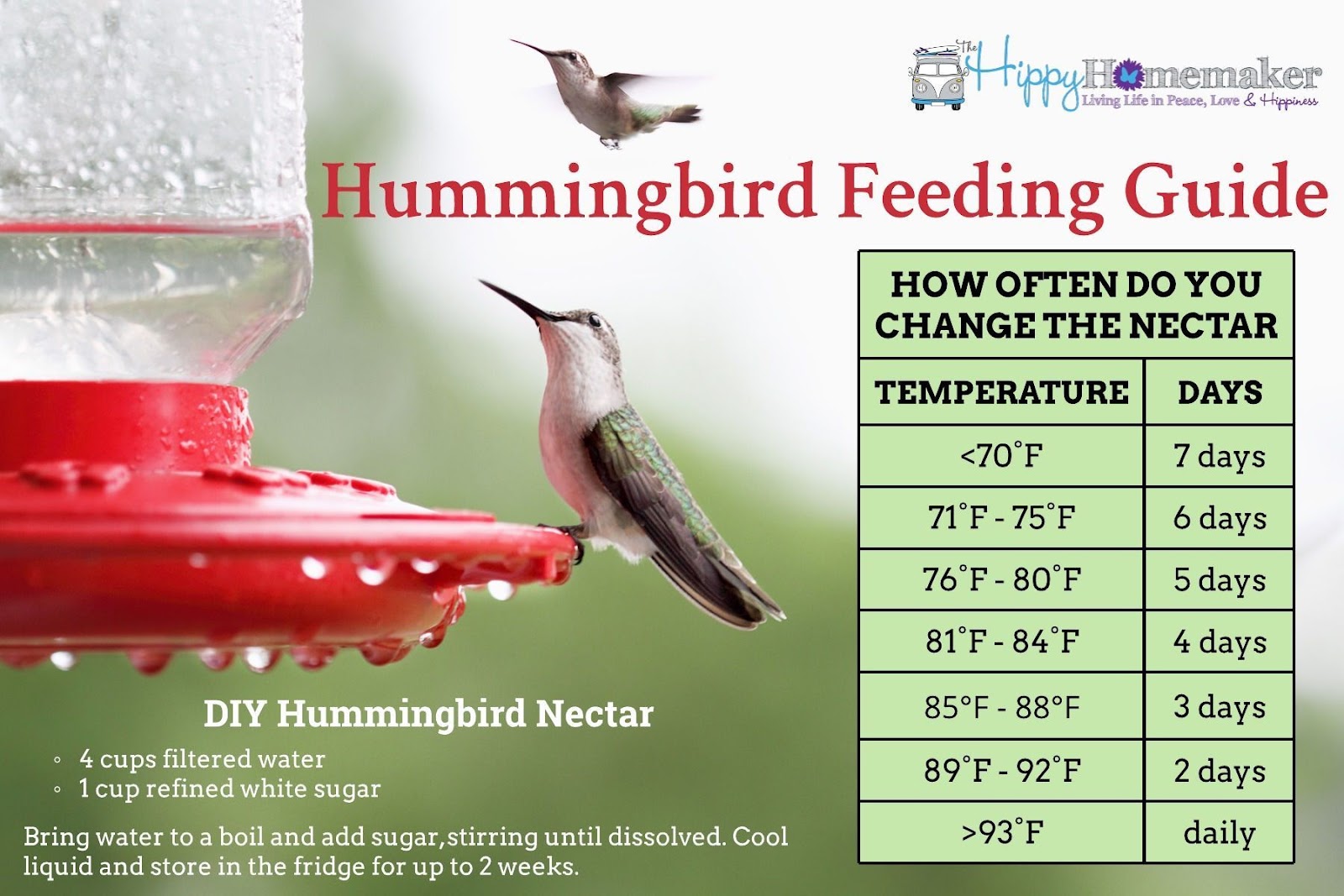 A chart showing how often to change the Nectar in a Hummingbird feeder from the Hippy.Homemaker