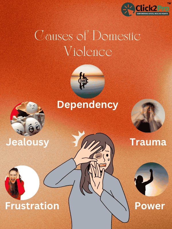 Infographic showing causes of domestic violence: dependency, jealousy, trauma, frustration, power.