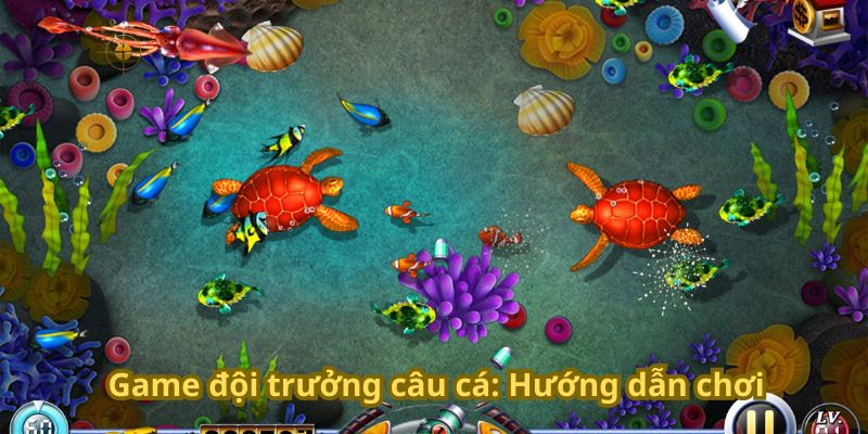 Game đội trưởng câu cá: Hướng dẫn chơi