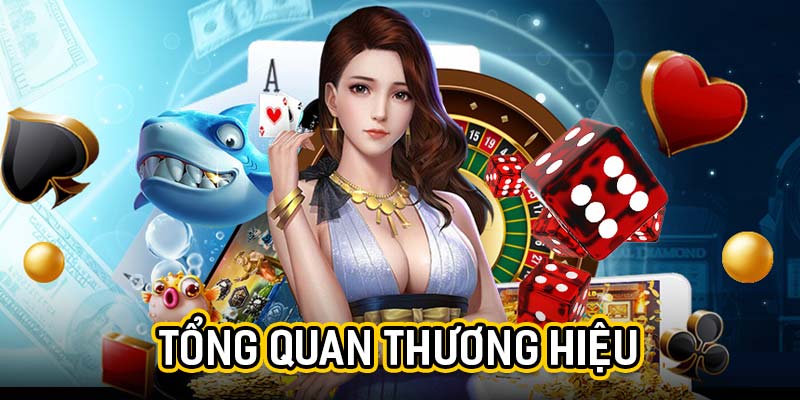 Tổng quan thương hiệu