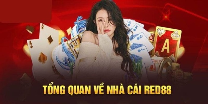 Giới thiệu thương hiệu giải trí chất lượng nhất hiện nay 