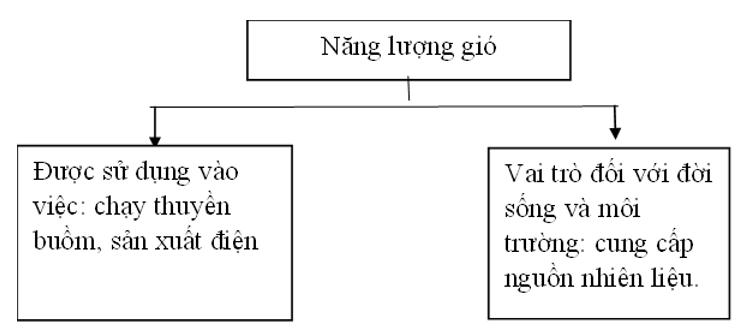 Vở bài tập Khoa học lớp 5 Chân trời sáng tạo Bài 11: Năng lượng mặt trời, gió và nước chảy 