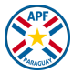 Paraguayan Primera División