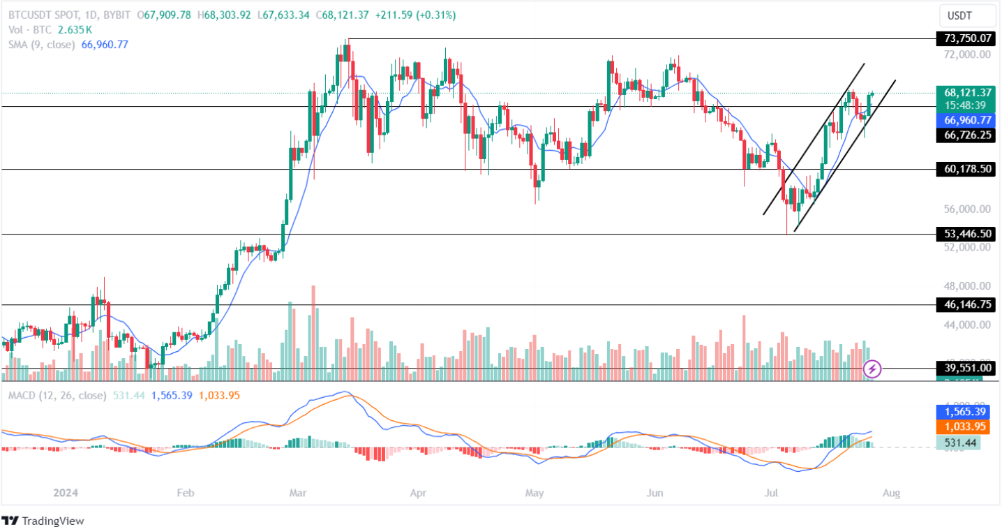 Bitcoin Price Analysis