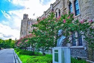 A statue of a person in front of a building

AI-generated content may be incorrect.