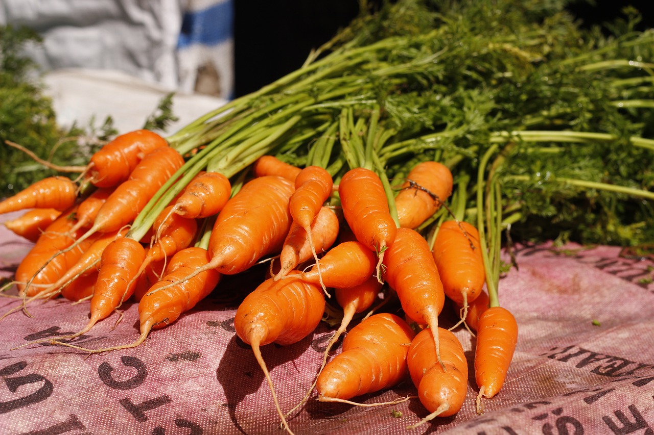 carrot  Vegetable Seeds for Arizona