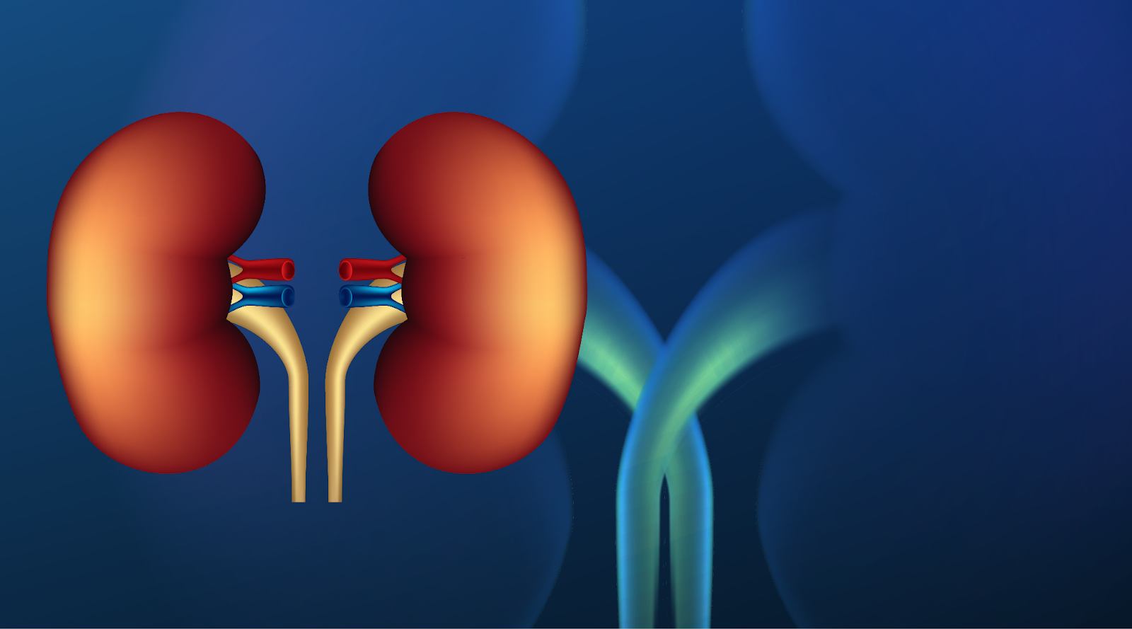 What Are the Best Treatment Options for Kidney Stones in Delhi?