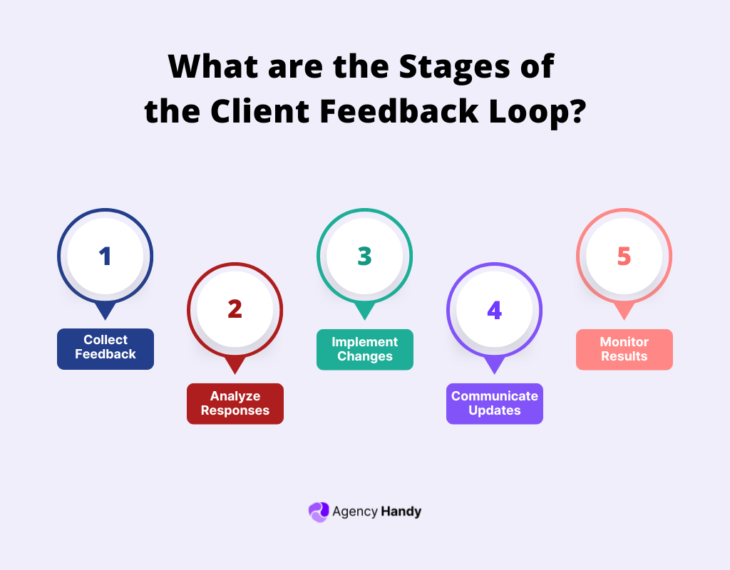 What are the Stages of the Client Feedback Loop