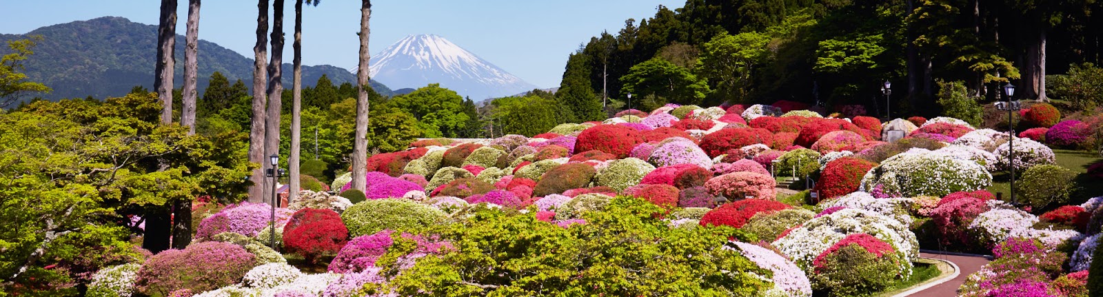 箱根（芦ノ湖畔）小田急 山のホテル