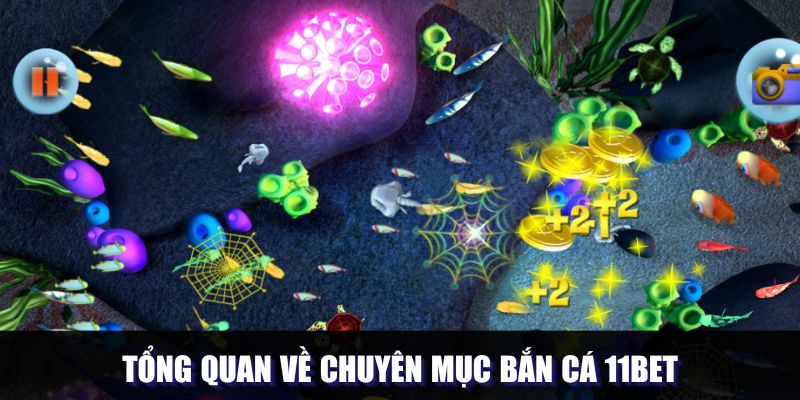 Khái quát về hình thức săn sinh vật 11bet