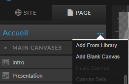 Ajouter un nouveau Canvas à votre site Showit (vide ou à partir de la bibliothèque).