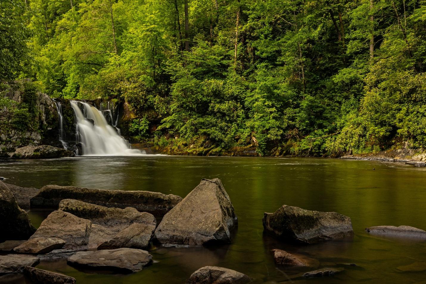 A waterfall in a forest

AI-generated content may be incorrect.