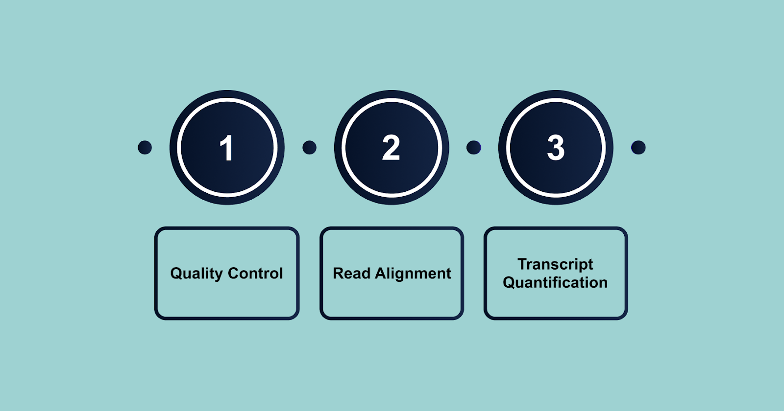 To find a gene's mRNA from RNA-Seq data, the process typically follows these steps: