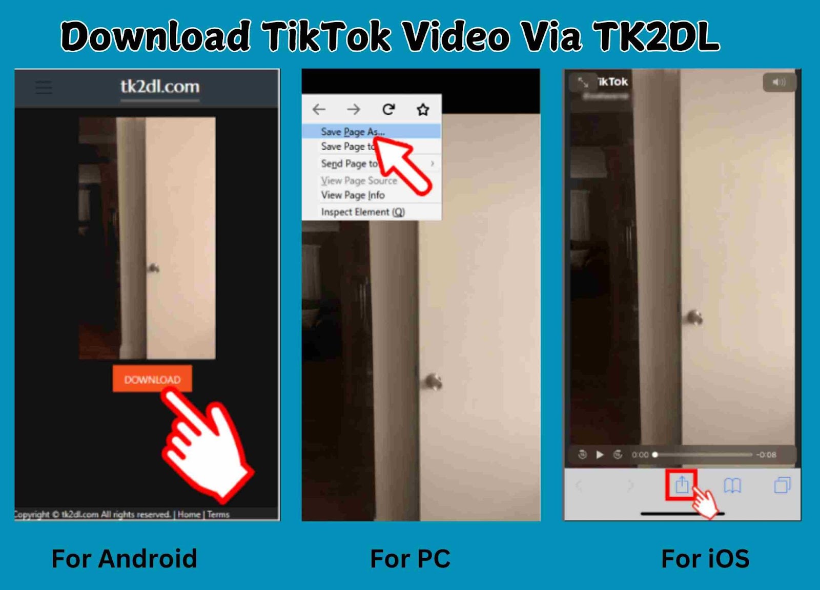 How to Download TikTok Videos via TK2DL
