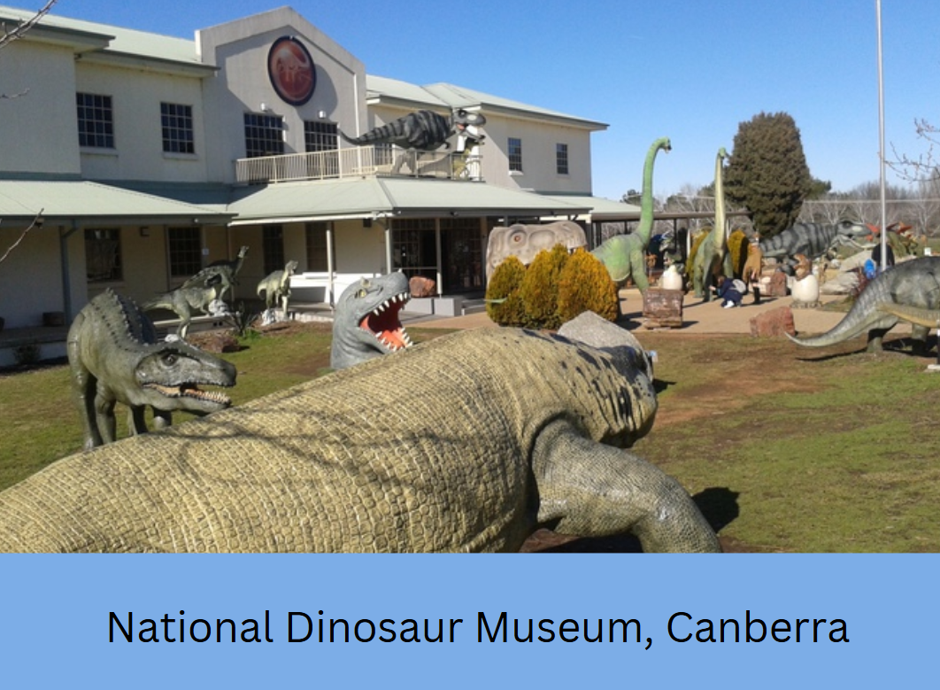 National Dinosaur Museum