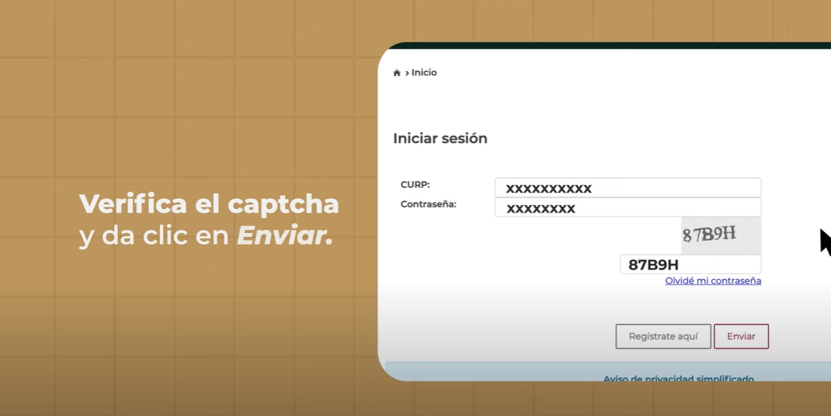 verifica el captcha, y da clic en enviar