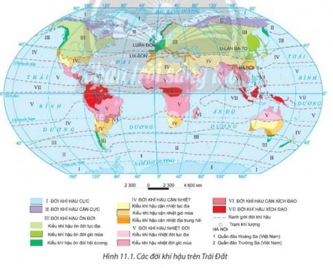 BÀI 11: THỰC HÀNH. ĐỌC BẢN ĐỒ CÁC ĐỚI VÀ KIỂU KHÍ HẬU TRÊN TRÁI ĐẤT, PHÂN TÍCH BIỂU ĐỒ MỘT SỐ KIỂU KHÍ HẬUI. ĐỌC BẢN ĐỒ VÀ CÁC ĐỚI KHÍ HẬUCâu 1 : Dựa vào hình 11.1, em hãy xác định có bao nhiêu đới khí hậu trên Trái Đất và phạm vi của các đới khí hậu này.Gợi ý đáp án: - Đới khí hậu Cực  - Đới khí hậu Cận cực  - Đới khí hậu Ôn đới  - Đới khí hậu Cận nhiệt đới  - Đới khí hậu Nhiệt đới  - Đới khí hậu Cận xích đạo  - Đới khí hậu Xích đạoII. PHÂN TÍCH BIỂU ĐỒ NHIỆT ĐỘ, LƯỢNG MƯA- Xác định các địa điểm trên thuộc đới khí hậu nào trên bản đồ.- Điền các thông tin phân tích nhiệt độ và lượng mưa theo các bảng sau:Gợi ý đáp án:* Các địa điểm trên thuộc đới khí hậu:  - Hà Nội, Việt Nam thuộc đới khí hậu cận nhiệt.  - U-lan-Ba-to, Mông Cổ thuộc đới khí hậu ôn đới.  - Luân Đôn, Anh thuộc đới khí hậu ôn đới.  - Lix-bon, Bồ Đào Nha thuộc đới khí hậu cận nhiệt.* Phân tích nhiệt độ và lượng mưa:Bảng 11.1 Đặc điểm nhiệt độ của một số kiểu khí hậu tại các địa điểmĐịa điểmKiểu khí hậuNhiệt độ trung bình tháng thấp nhấtNhiệt độ trung bình tháng cao nhấtBiên độ nhiệt nămHà Nội (Việt Nam)Nhiệt đới gió mùa17,5 (Tháng 2)30 (Tháng 7)12,5U-lan-Ba-to (Mông Cổ)Ôn đới lục địa7,5 (Tháng 1)24 (Tháng 8)16,5Luân Đôn (Anh)Ôn đới hải dương1 (Tháng 1)14 (Tháng 7)13Lix-bon (Bồ Đào Nha)Cận nhiệt Địa Trung Hải4 (Tháng 1)18,5 (Tháng 7)14,5Bảng 11.2 Đặc điểm lượng mưa của một số kiểu khí hậu tại các địa điểmĐịa điểmKiểu khí hậuLượng mưa trung bình năm (mm)Mưa nhiều các thángLượng mưa (≥ 100)Mưa ít các thángLượng mưa (<100 mm)Hà Nội (Việt Nam)Nhiệt đới gió mùa1694Tháng 5, 10120-330Tháng 4,1220-90U-lan-Ba-to (Mông Cổ)Ôn đới lục địa220xxTháng 1, 120-52Luân Đôn (Anh)Ôn đới hải dương607xxTháng 1, 1245-65Lix-bon (Bồ Đào Nha)Cận nhiệt Địa Trung Hải747Tháng 11,12100-110Tháng 1, 1010-95III. GIẢI THÍCH ĐƯỢC MỘT SỐ HIỆN TƯỢNG THỜI TIẾT TRONG THỰC TẾ