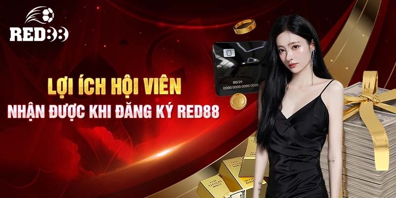 Quy trình thực hiện RED88 đăng ký chi tiết