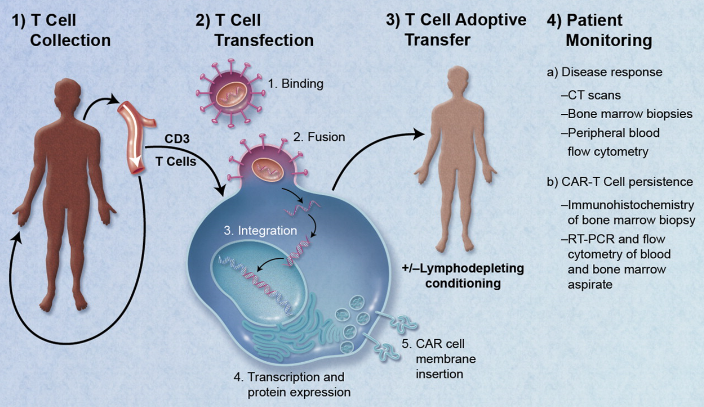 Regenerative Medicine