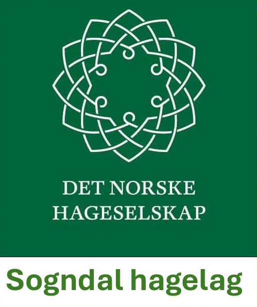 Et bilde som inneholder tekst, Font, Grafikk, logo

KI-generert innhold kan være feil.