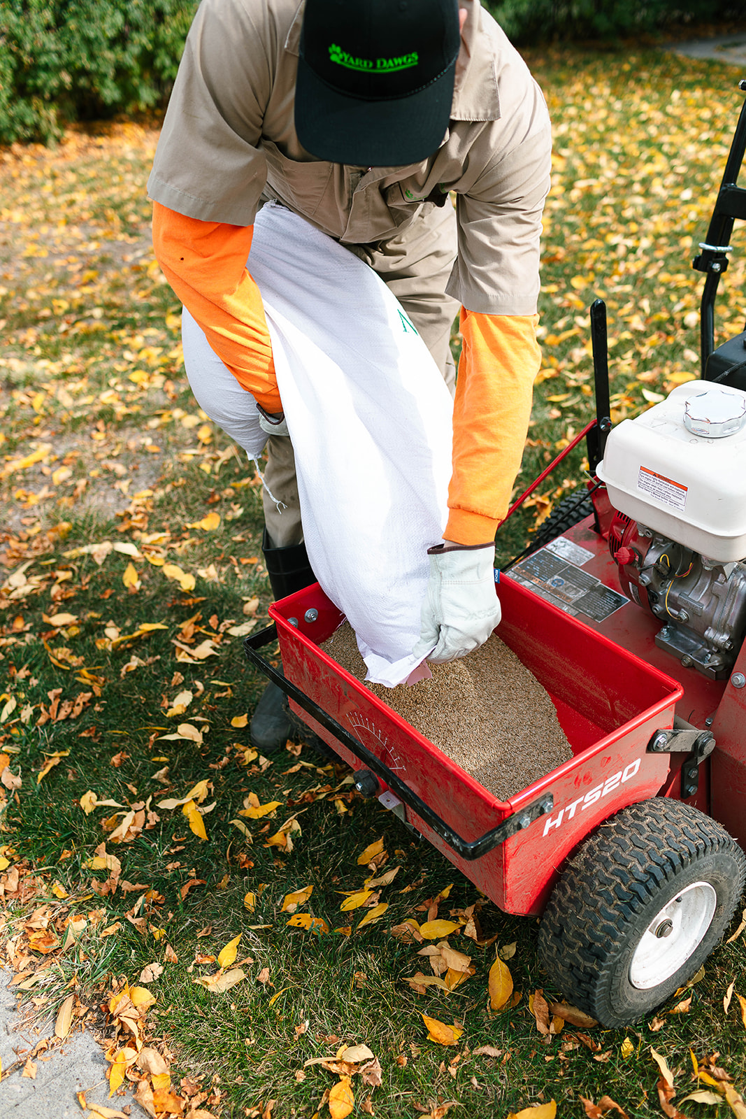 How to Overseed