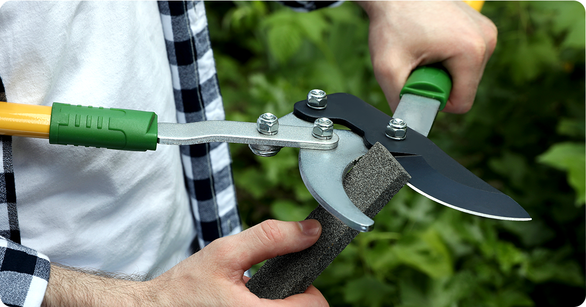 Ignoring blade sharpening is one of the garden tool mistakes you are probably making