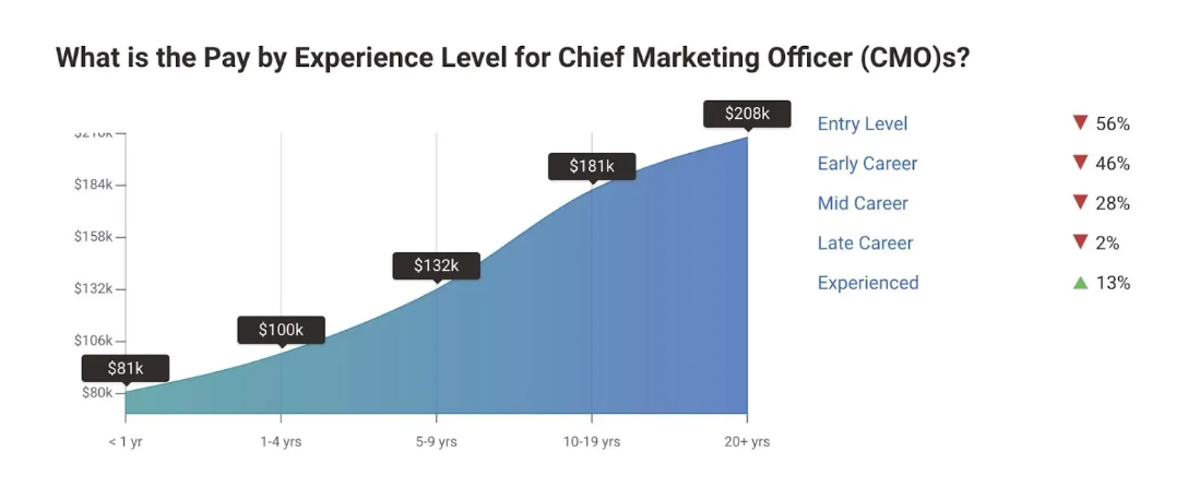 Experience Level of CMO