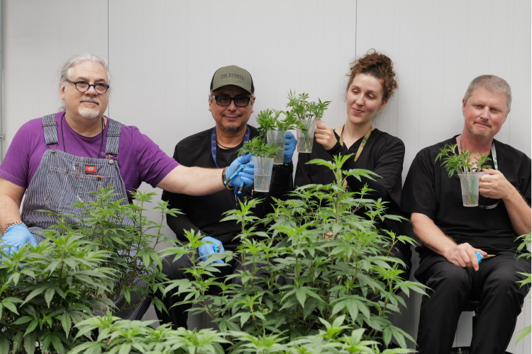 Three men and a woman sitting behind a garden of cannabis plants while smiling and holding cannabis clones in the Veg room at The Source in Rogers, Arkansas.