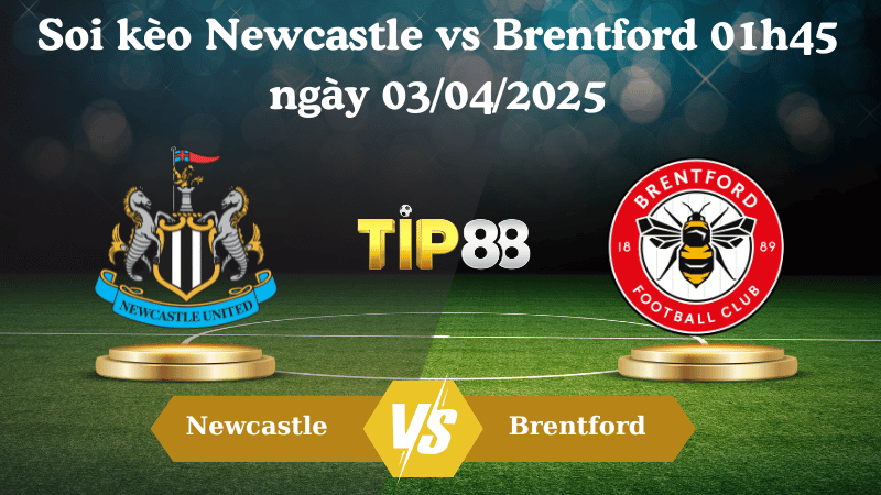 Nhận định soi kèo Newcastle vs Brentford 01h45 ngày 03/04/2025