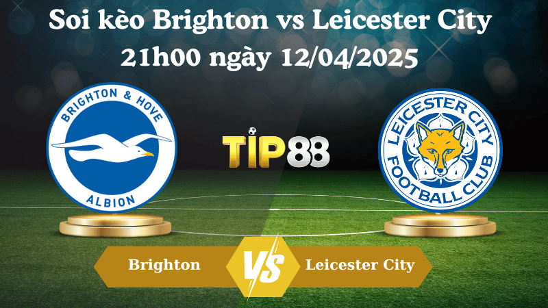 Soi kèo Brighton vs Leicester City 21h00 ngày 12/04/2025 