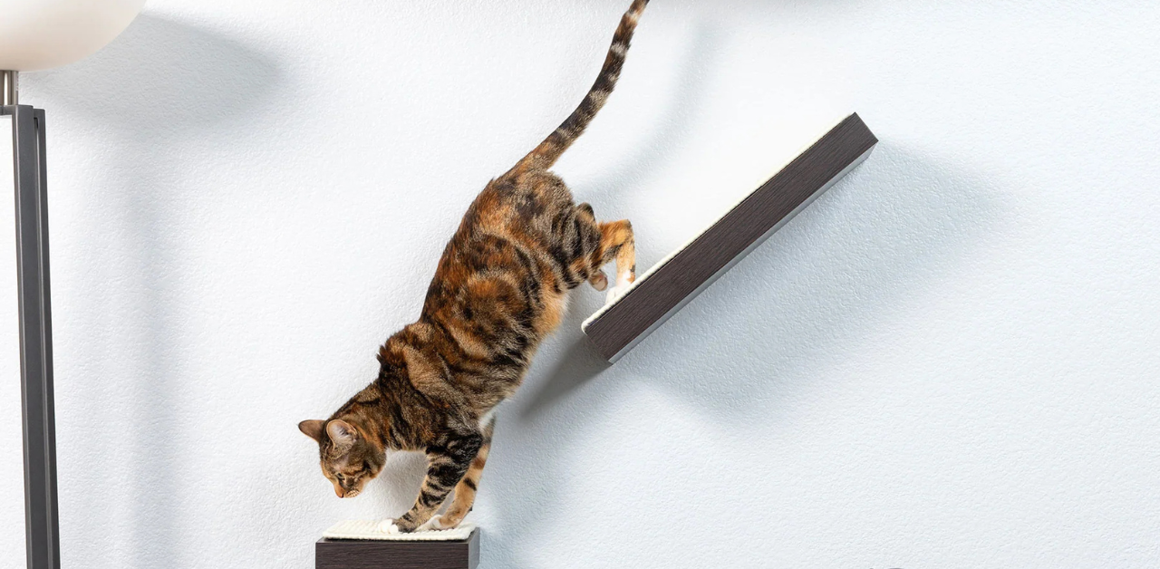 PetFusion Wall Activity Shelves for Cats