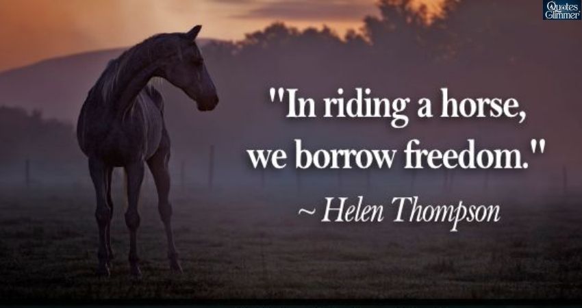 Horse Quotes on Freedom and Escape