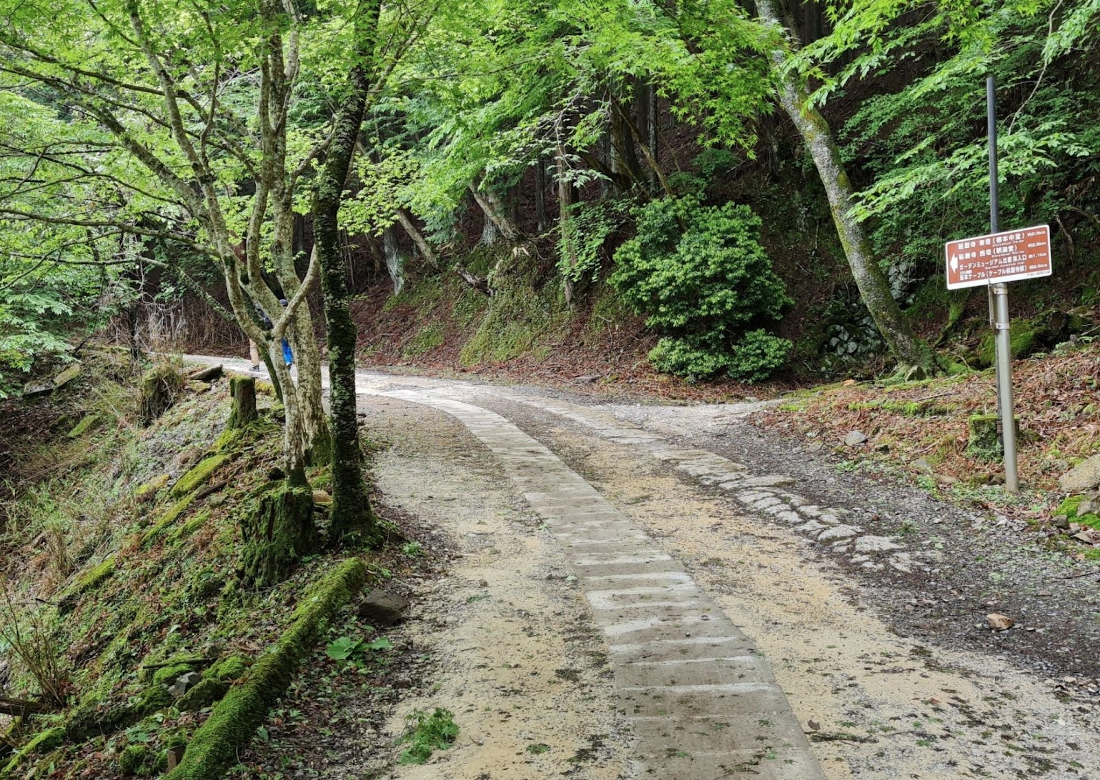 Mount Hiei