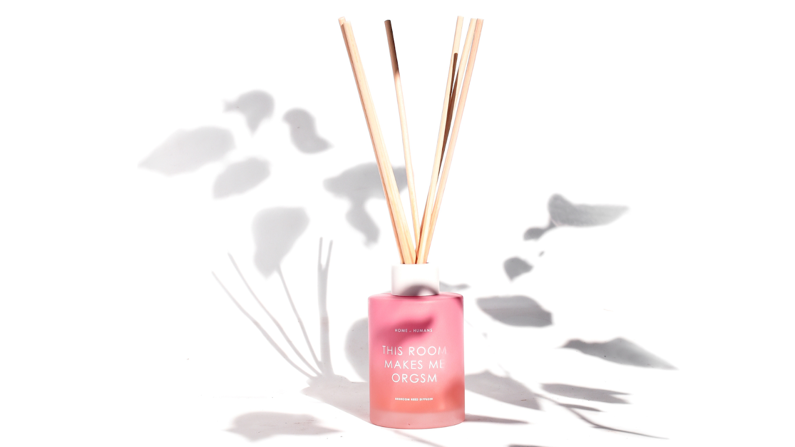 Reed diffuser home of humans varian This Room Makes Me O