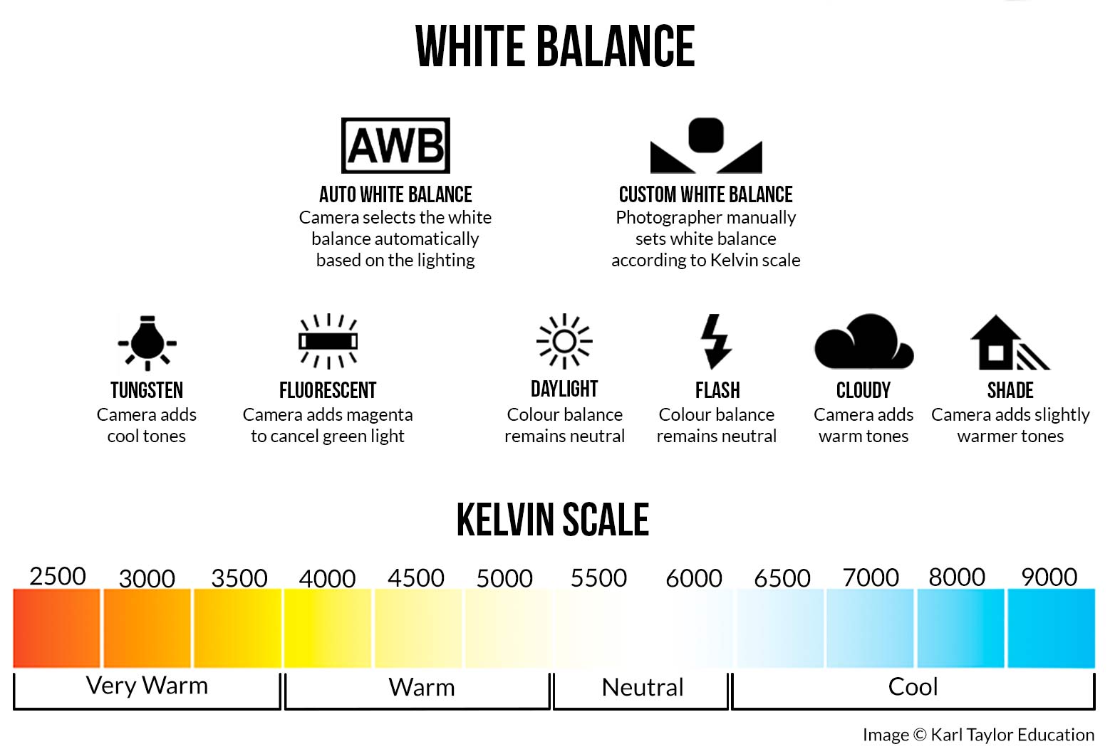 The importance of understanding light in photography