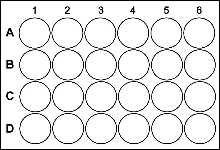C:\Users\nicolaou.s\Dropbox\1. RESEARCH PROJECTS\EDUCATION\1. Strategic partnership\0. March 2023\WPs\WP3\Case studies\Case Study (CS14) - Cell culture\24 well plate.jpg
