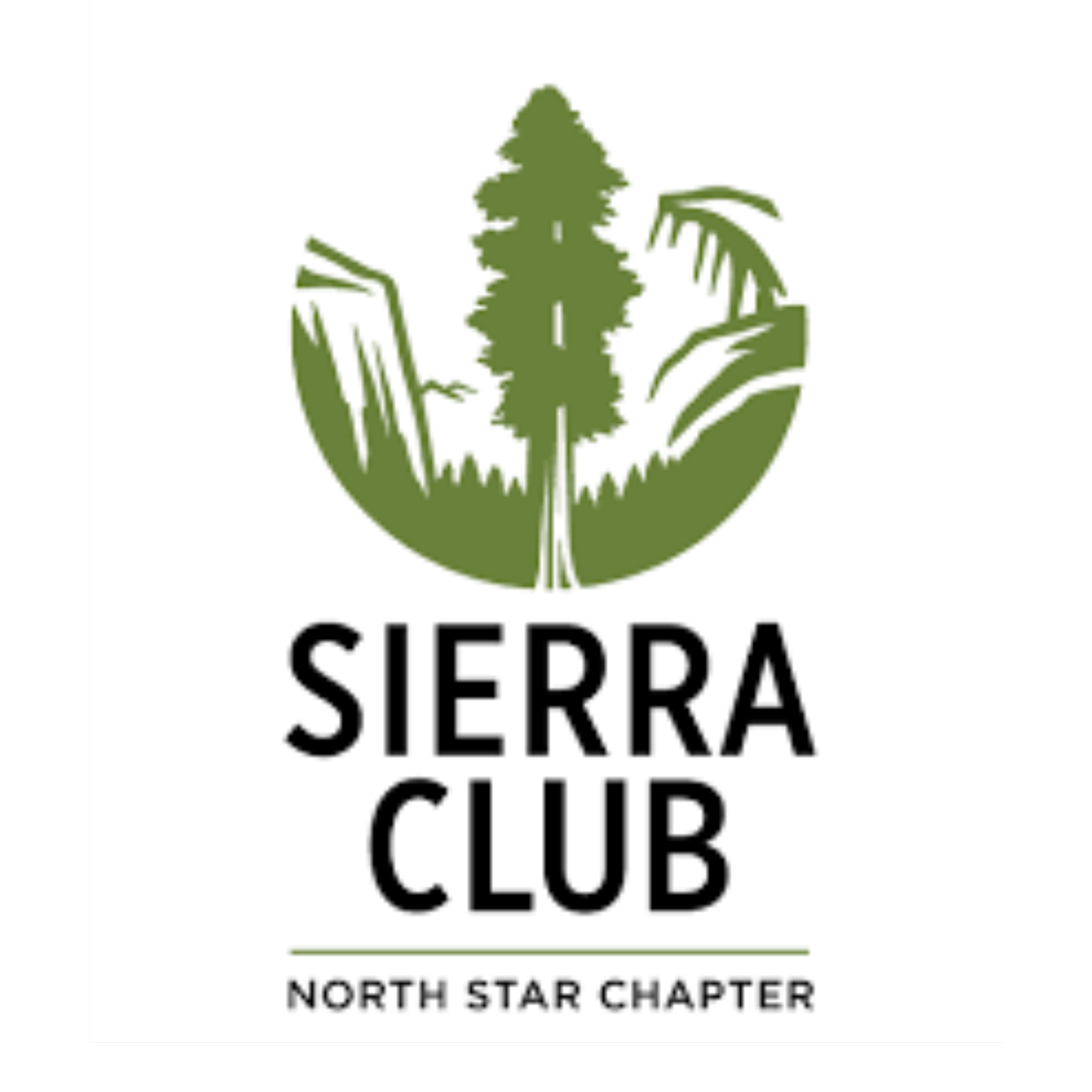 sierra club logo