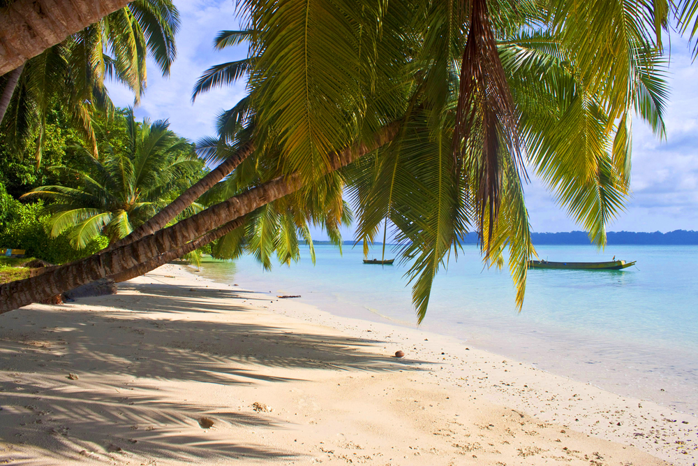 Havelock Island , Andaman Islands, India