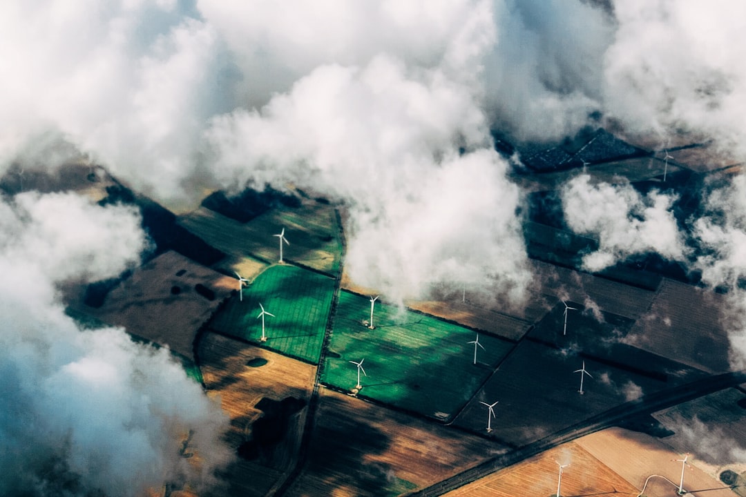 Wind turbines in a field