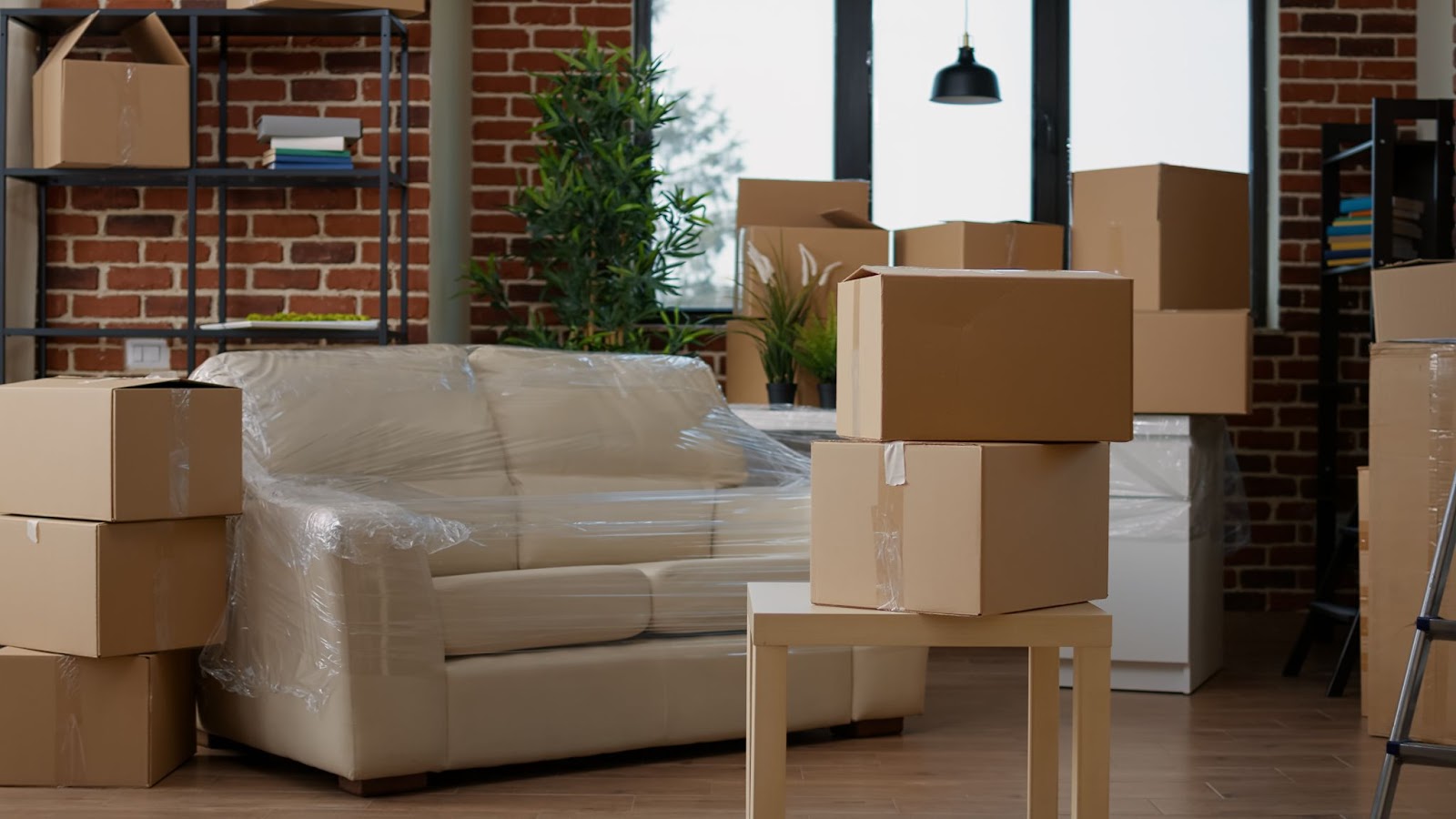 Best Movers in Dubai