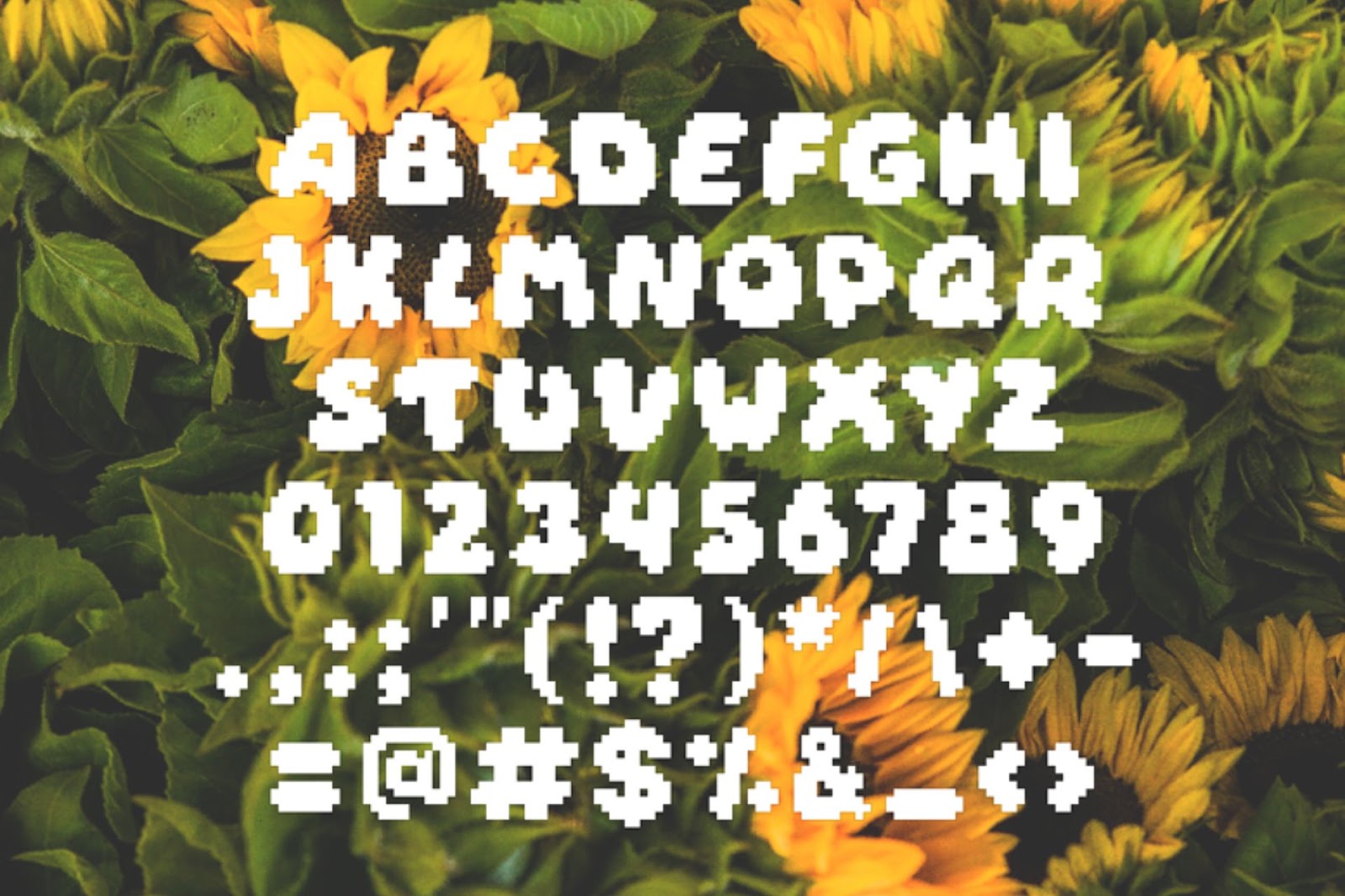 A chunky pixel font displayed in uppercase letters, numbers and symbols against a sunflower backdrop.