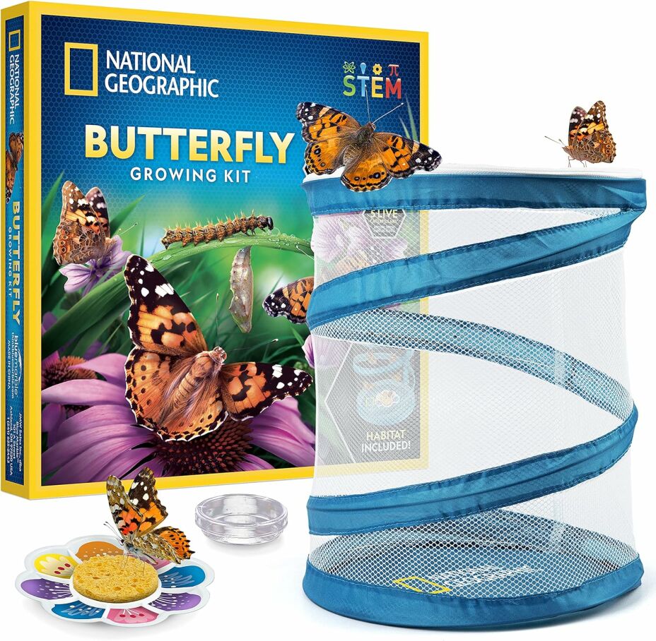 Grow Your Own Butterflies: Nat Geo Caterpillar Kit