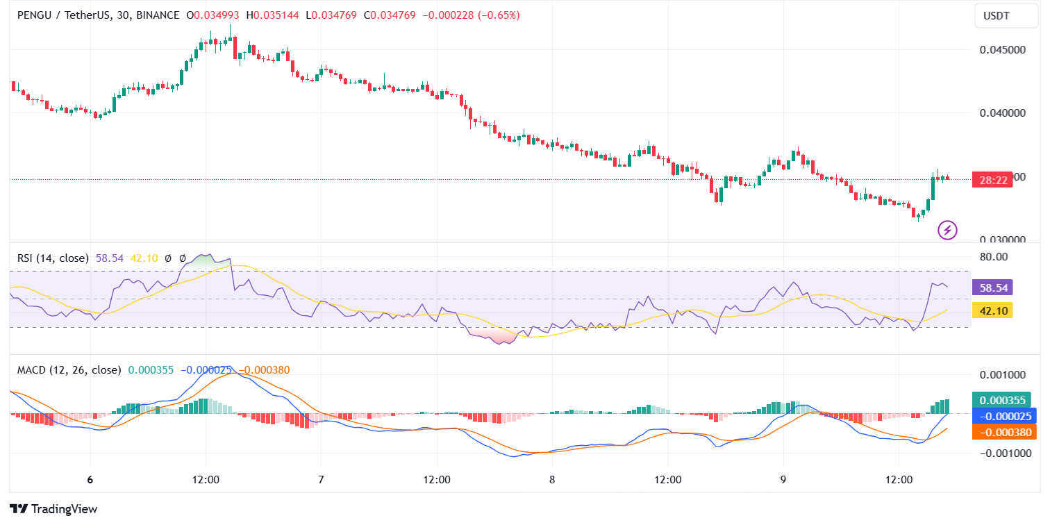 Динамика цены $PENGU (декабрь 2024 г. - январь 2025 г.) Источник: TradingView. 